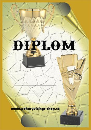 Florbal diplom A4 �.17