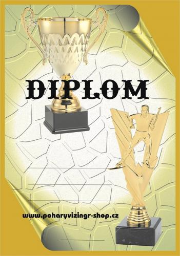 B�ky diplom A4 �.31