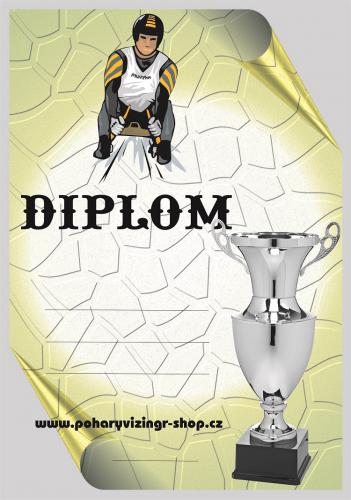 S��ky diplom A4 �.35