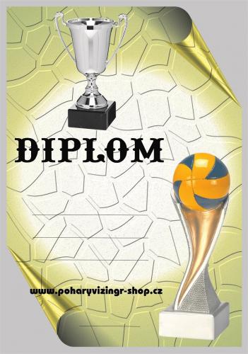 Volejbal diplom A4 �.31