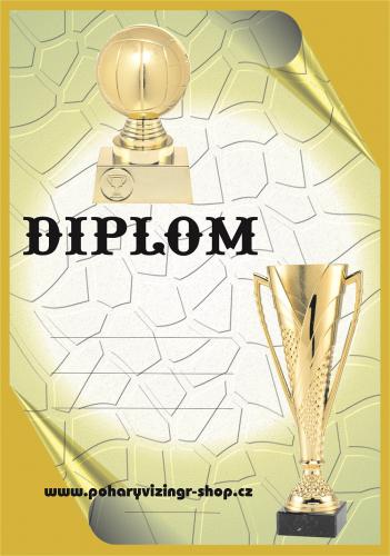 Volejbal diplom A4 �.33
