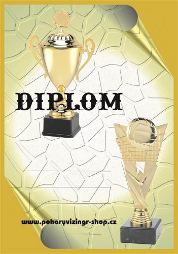 Volejbal diplom A4 �.34