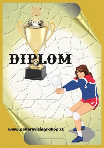 Volejbal �ena diplom A4 �.38