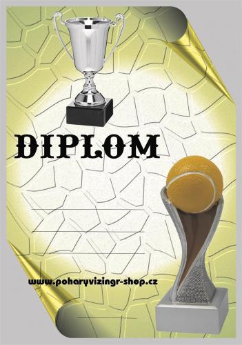 Tenis diplom A4 �.41