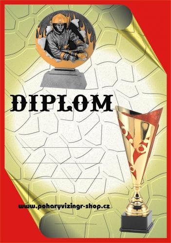 Hasi�i diplom A4 �.33