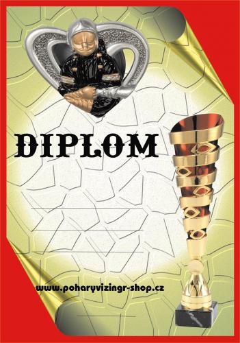 Hasi�i diplom A4 �.35