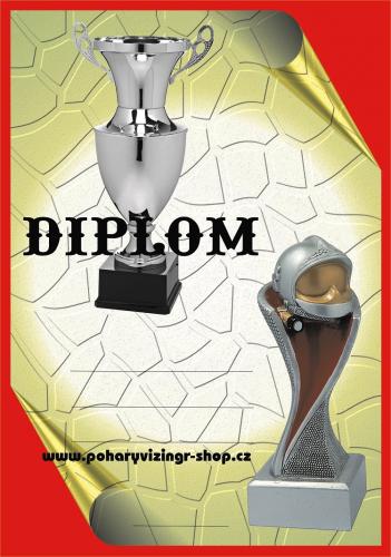 Hasi�i diplom A4 �.36