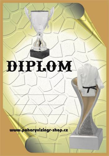 Judo diplom A4 �.6