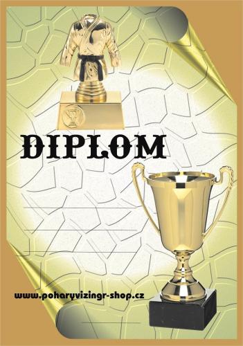 Judo diplom A4 �.8