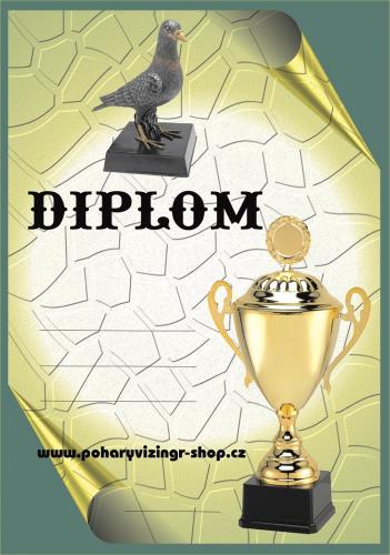 Holub��i diplom A4 �.18