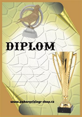 Holub��i diplom A4 �.20