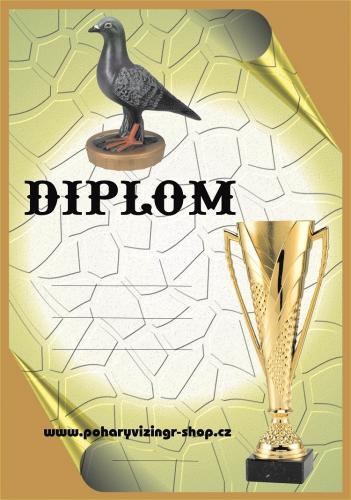 Holub��i diplom A4 �.21