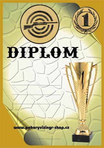 Pu�ka diplom A4 �.48