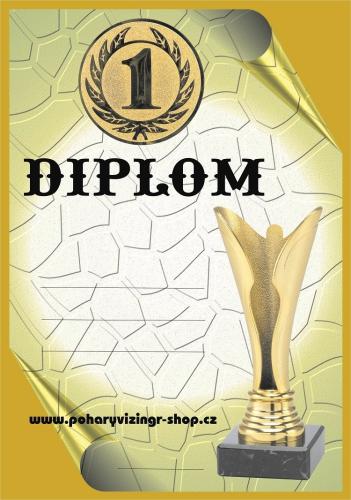Diplom A4 D�.48