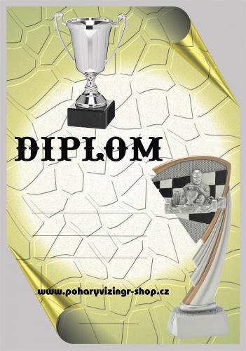 Motok�ry diplom A4 �.6