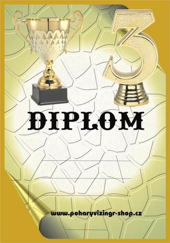 Diplom A4 D�.53