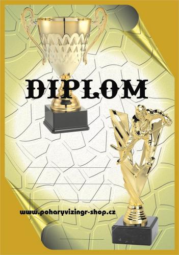 Hokej diplom A4 �.40