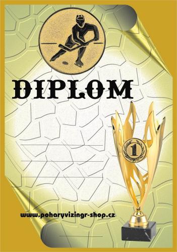 Hokej diplom A4 �.41