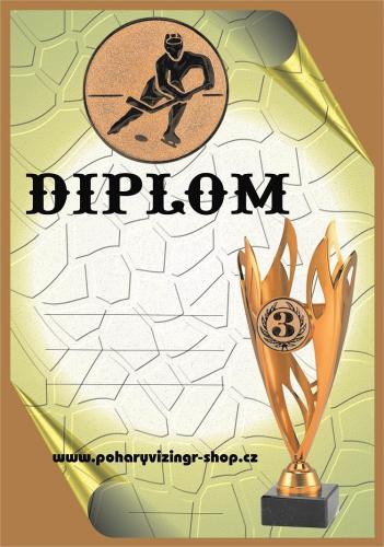 Hokej diplom A4 �.43