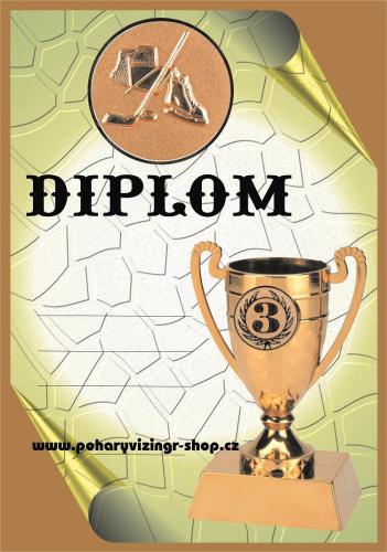 Hokej diplom A4 �.46
