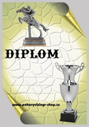 Parkur diplom �.17
