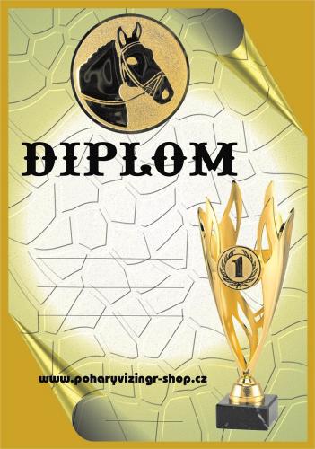 K�� diplom A4 �.20