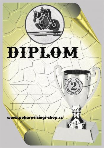 Skoky diplom A4 �.24