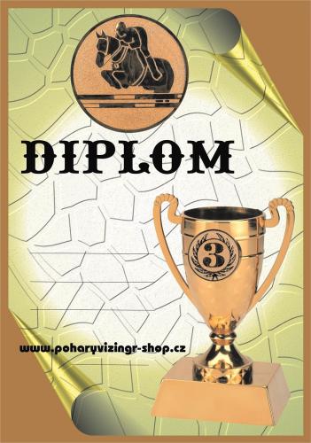 Skoky diplom A4 �.25