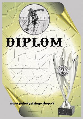 Bowling mu� diplom A4 �.29