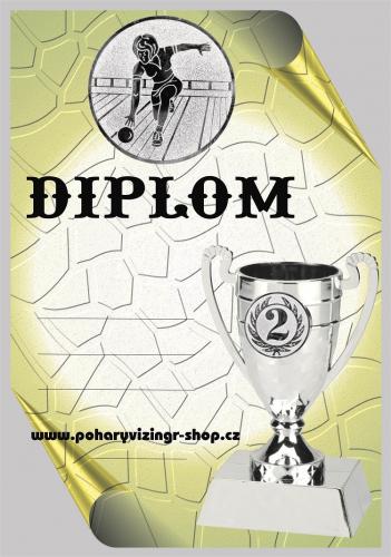 Bowling �ena diplom A4 �.32