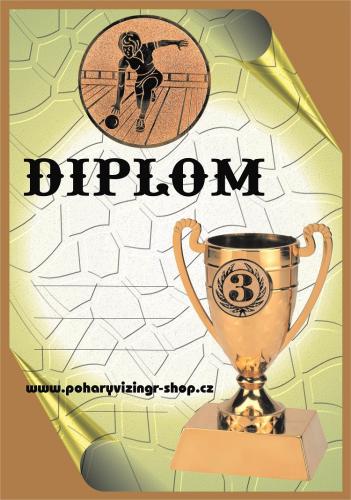 Bowling �ena diplom A4 �.33
