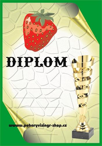 Jahoda diplom A4 �.1