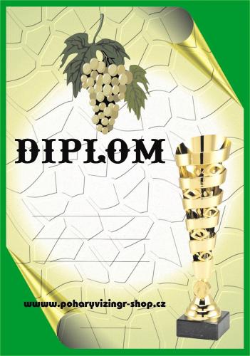 V�no diplom A4 �.2