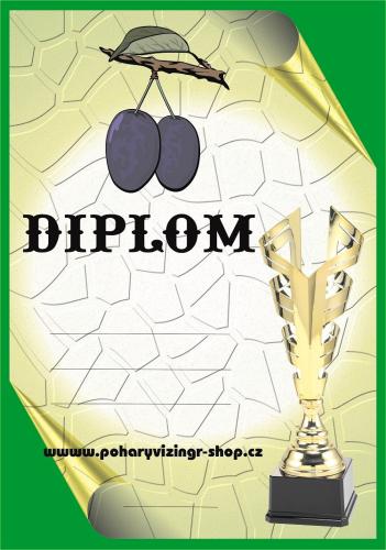 �vestky diplom A4 �.3