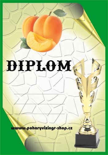 Meru�ky diplom A4 �.5