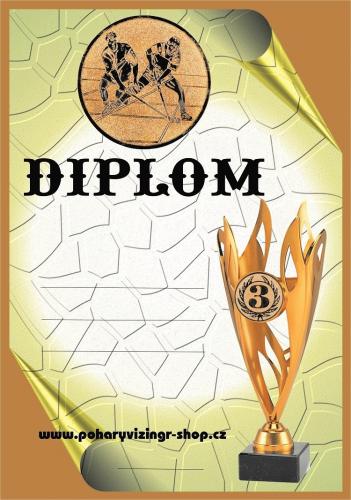 Florbal diplom A4 �.22