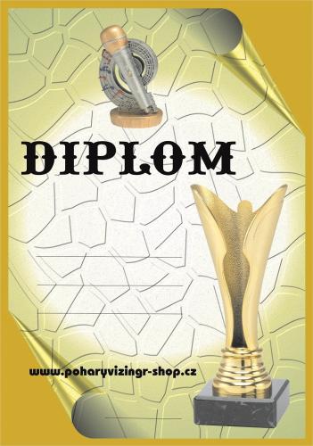 Hudba diplom A4 �.8