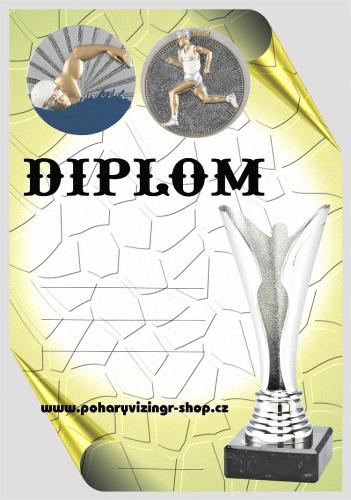 Aquatlon mu�i diplom A4 �.12
