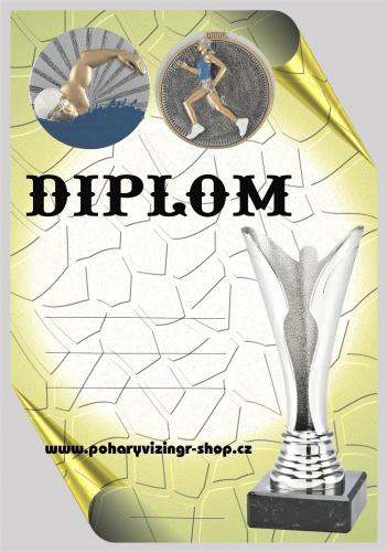 Aquatlon �eny diplom A4 �.13
