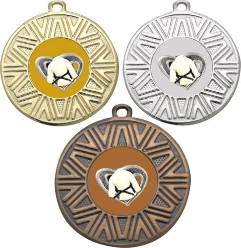 Judo medaile DI5007-L354