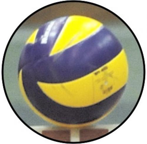 Volejbal MINI logo L1�.205