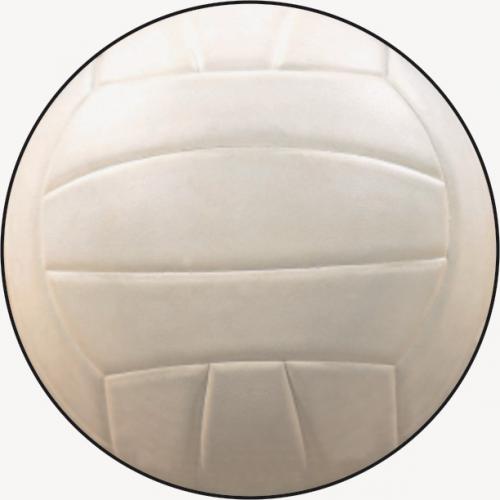 Volejbal MINI logo L1�.206