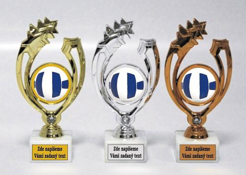 Volejbal trofeje P95-830-L422