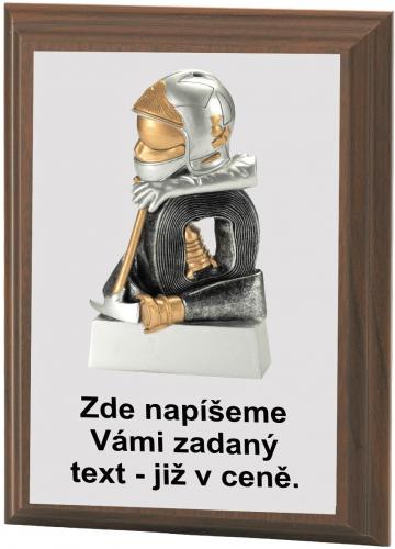 Hasi�i plaketa H120-K1171