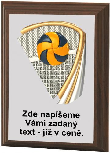 Volejbal plaketa H120-L423