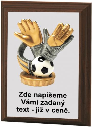 Fotbal brank�� plaketa H120-L425