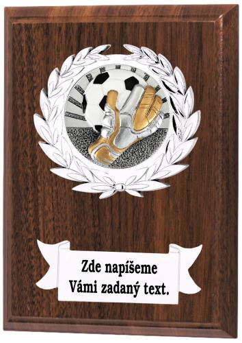Fotbal brank�� plaketa NP02-K076