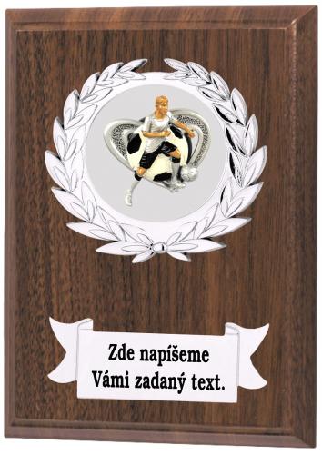 Fotbal �ena plaketa NP02-L426