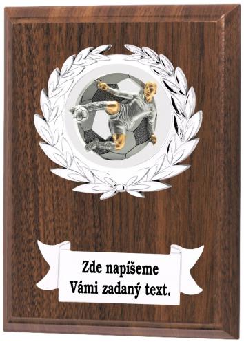Fotbal plaketa NP02-L427