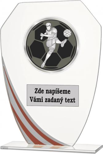 Nohejbal sklo W191.08-AC006